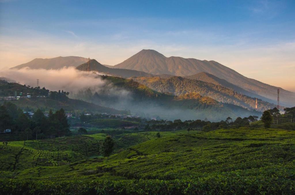 Green Wattana Hotel Sentul Bogor Ngoại thất bức ảnh